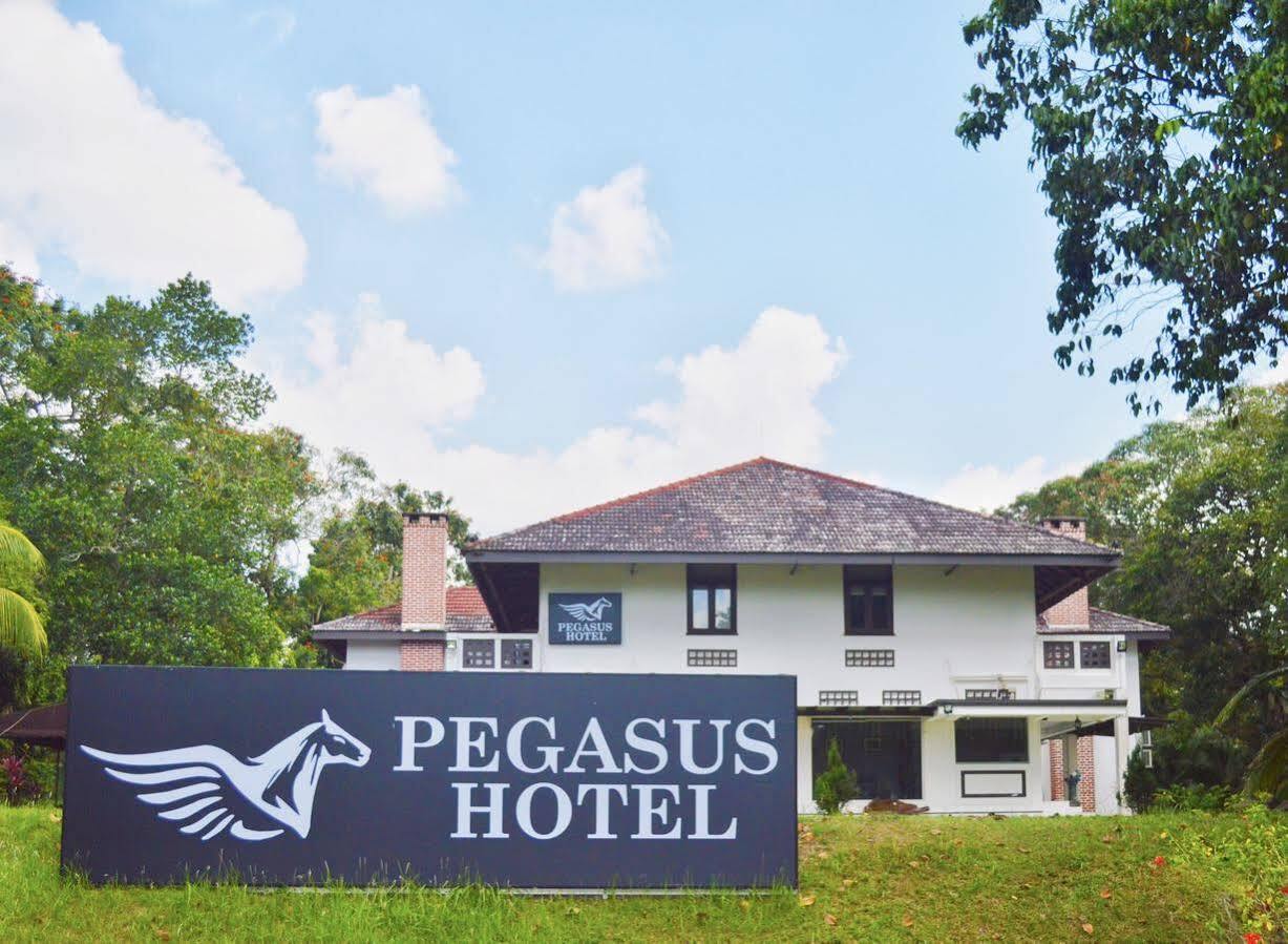 Oyo 104 Pegasus Hotel Singapore Exterior photo